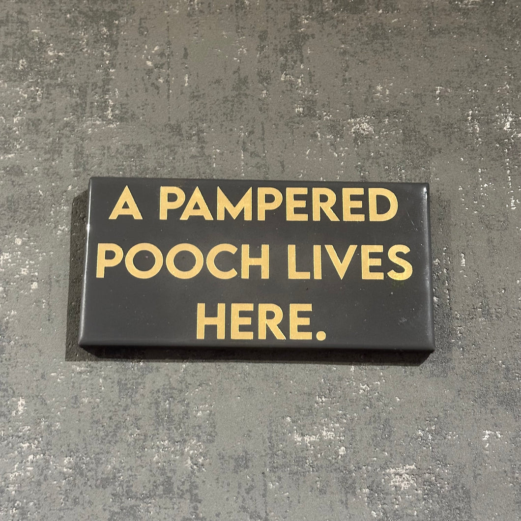 A pampered pooch lives here plaque in grey and gold